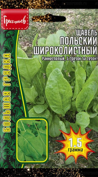 Щавель Польский Широколистный