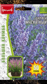 Шалфей Мускатный