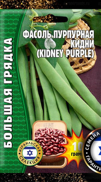 Фасоль пурпурная Кидни