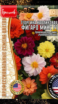 Георгина Фигаро Микс F1