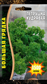 Петрушка Кудрявая