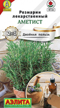 Розмарин Аметист