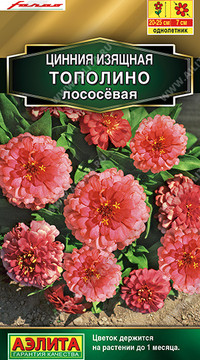 Цинния Тополино лососевая