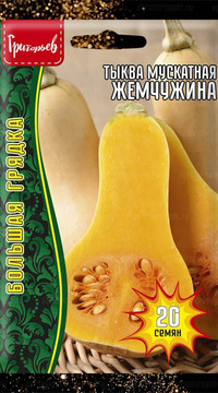 Тыква мускатная Жемчужина