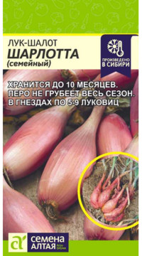 ЛУК-ШАЛОТ ШАРЛОТТА