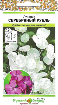 Лунария Серебряный Рубль