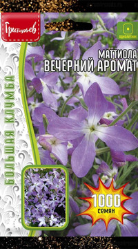 Маттиола (левкой) Вечерний Аромат