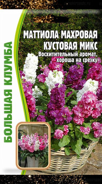 Маттиола махровая (левкой) Кустовая Микс