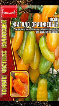 Томат Жигало Оранжевый