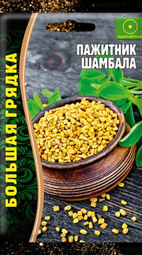 Пажитник Шамбала