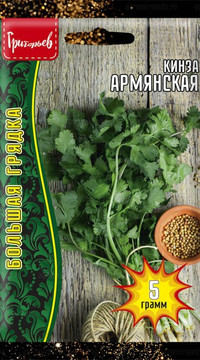 Кинза Армянская