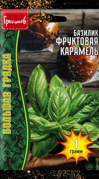 Базилик Фруктовая Карамель