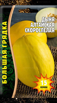 Дыня Алтайская скороспелая