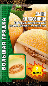 Дыня Колхозница