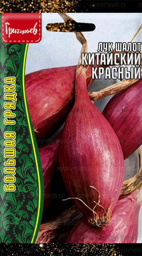 Лук шалот Китайский Красный