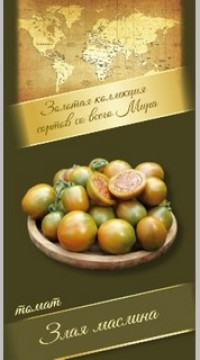 Томат Злая маслина