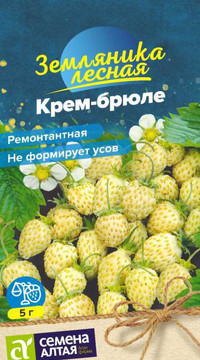 Земляника Крем-брюле