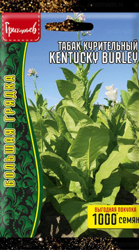 Табак курительный Kentucky Burley
