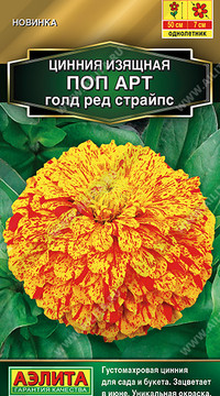 Цинния Поп арт голд ред страйпс