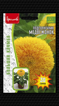 Подсолнечник Медвежонок