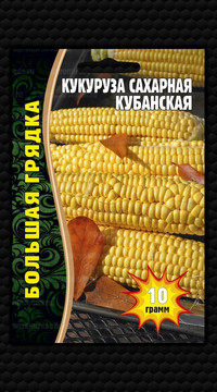 Кукуруза Кубанская сахарная