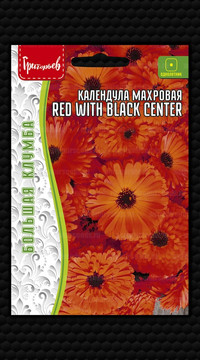 Календула махровая Red With Black Center