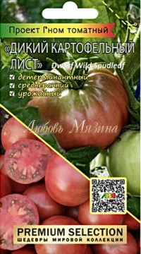 Томат Гном Дикий картофельный лист