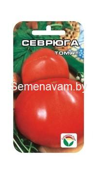Томат Севрюга