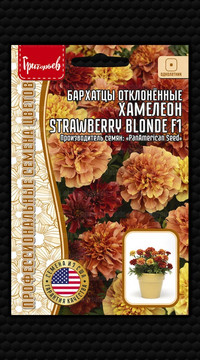 Бархатцы Хамелеон Strawberry Blonde F1