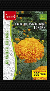 Бархатцы Гавайи прямостоячие