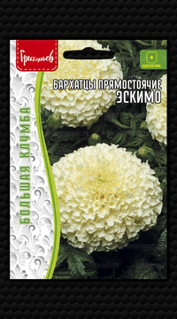 Бархатцы Эскимо прямостоячие Григорьев