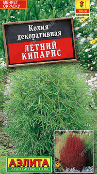 Кохия Летний кипарис