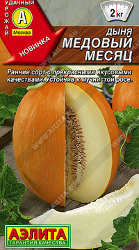 Дыня Медовый месяц