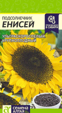 Подсолнечник Енисей