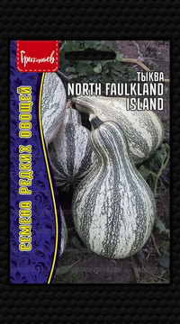 Тыква North Faulkland Island