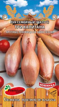 Лук шалот Три Капитана