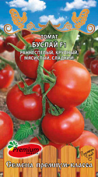 Томат Буслай F1