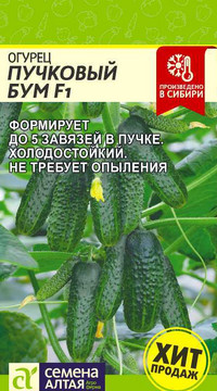 Огурец Пучковый Бум F1