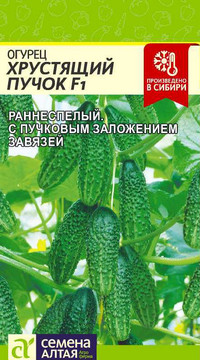Огурец Хрустящий пучок F1
