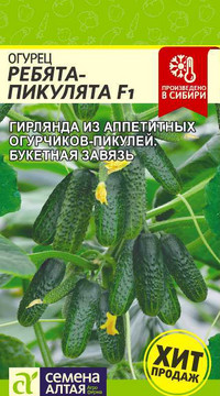 Огурец Ребята-Пикулята F1