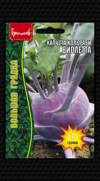 Капуста кольраби Виолетта