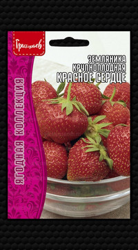 Земляника крупноплодная Красное Сердце