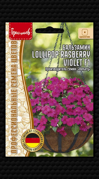 Бальзамин Lollipop Rasberry Violet F1