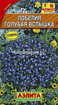 Лобелия Голубая вспышка Акция