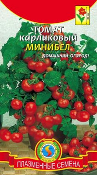 Томат карликовый МИНИБЕЛ