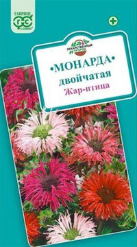 Монарда двойчатая Жар-птица