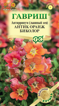 Антирринум (Львиный зев) Антик Оранж биколор