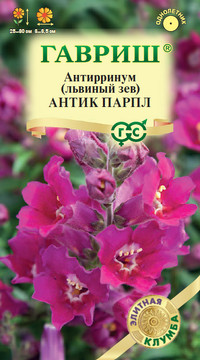 Антирринум (Львиный зев) Антик Парпл