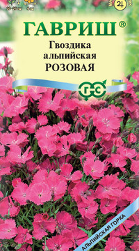 Гвоздика альпийская Розовая