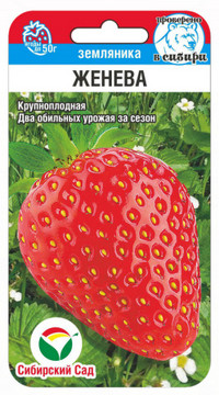 Земляника Женева